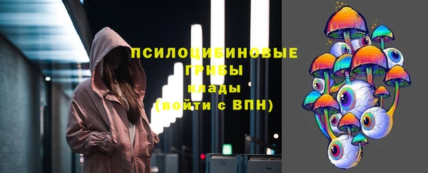 хмурый Карпинск