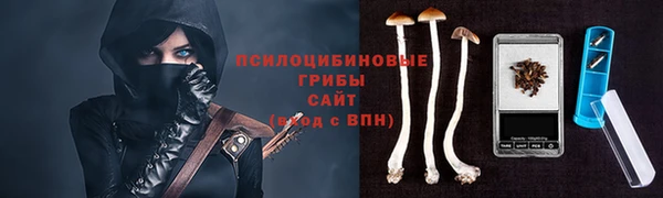 хмурый Карпинск
