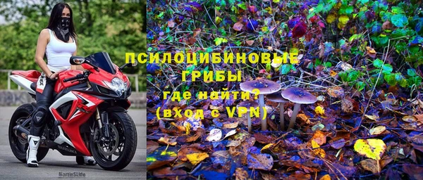 ГАЛЛЮЦИНОГЕННЫЕ ГРИБЫ Болотное