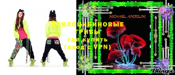 хмурый Карпинск