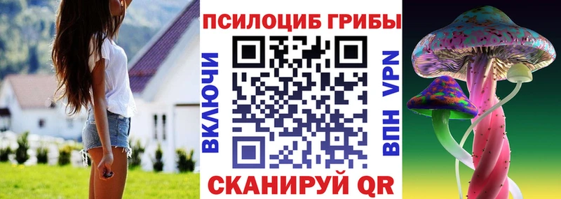 цены наркотик  Катайск  Галлюциногенные грибы прущие грибы 